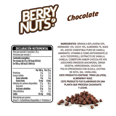 Berry Nuts Chocolate 25gr